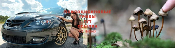 марки nbome Богданович