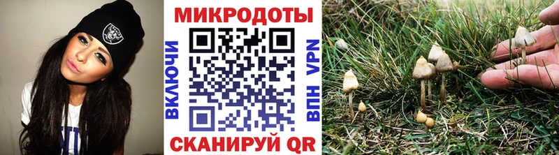 OMG сайт  Белогорск  Псилоцибиновые грибы MAGIC MUSHROOMS  цена наркотик 